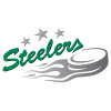 2560px Bietigheim Steelers logo