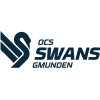 Basket Swans logo