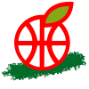Hapoel Galil gilboa logo