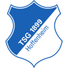 Logo TSG Hoffenheim