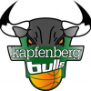 Kapfenberg Bulls Logo 2006 Farbverlauf 400x400