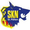 Skn logo farbe web