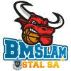 BM Slam Stal logo