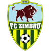 FC Zimbru logo