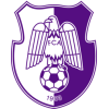 FC Arges Pitesti badge