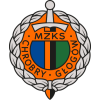 Chrobry Głogów logo