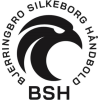 Bjerringbro Silkeborg handball club