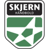 Skjern handball club