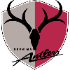 Kashima Antlers FC logo EF64BFA230 seeklogo.com