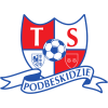 TSP logo poprawione